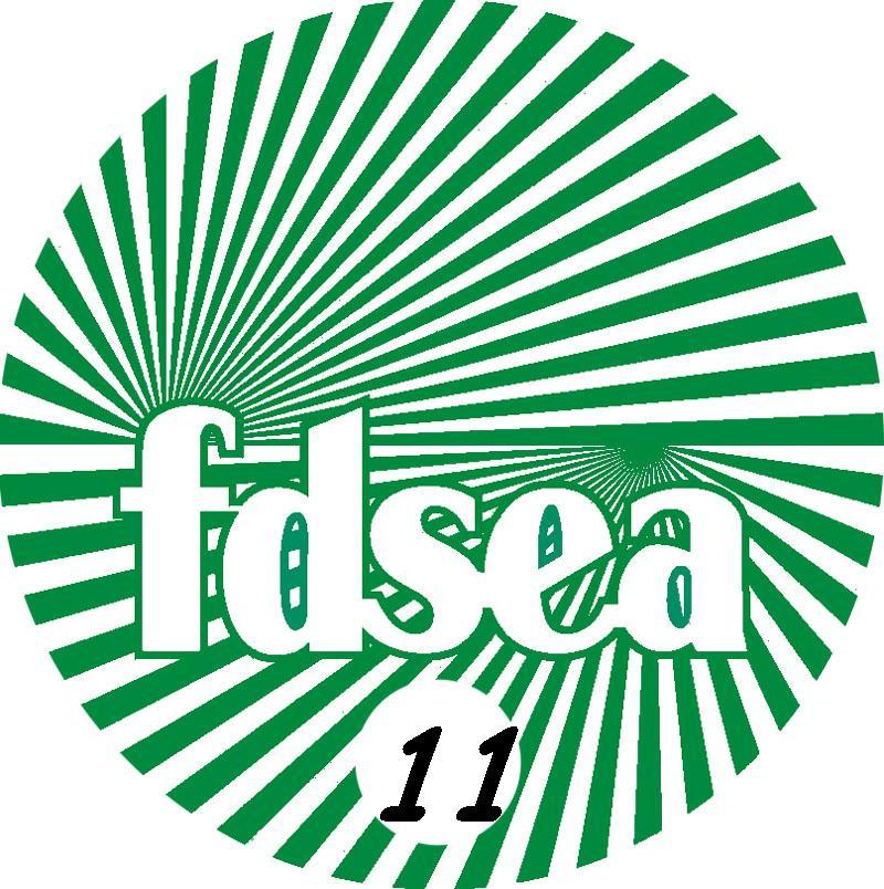 logo fdsea