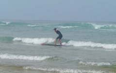 surf petit